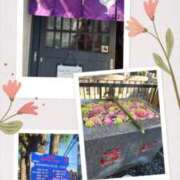 ヒメ日記 2026/04/13 20:25 投稿 ももか 奥鉄オクテツ東京店（デリヘル市場）