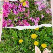 ヒメ日記 2026/04/19 22:56 投稿 ももか 奥鉄オクテツ東京店（デリヘル市場）