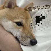 ヒメ日記 2026/08/09 20:45 投稿 ももか 奥鉄オクテツ東京店（デリヘル市場）