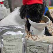 ヒメ日記 2026/08/13 07:10 投稿 かりん 奥鉄オクテツ東京店（デリヘル市場）