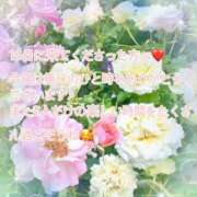 ヒメ日記 2025/06/16 16:20 投稿 川菜（かわな） 女々艶 厚木店