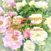 ヒメ日記 2026/01/21 17:30 投稿 川菜（かわな） 女々艶 厚木店