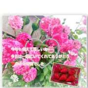 ヒメ日記 2026/01/26 17:25 投稿 川菜（かわな） 女々艶 厚木店