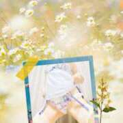 ヒメ日記 2025/04/18 08:16 投稿 みさき 奥鉄オクテツ東京店（デリヘル市場）