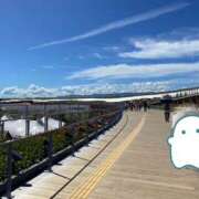 ヒメ日記 2025/09/08 10:39 投稿 みさき 奥鉄オクテツ東京店（デリヘル市場）