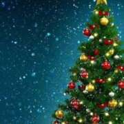 ヒメ日記 2025/12/25 23:26 投稿 みさき 奥鉄オクテツ東京店（デリヘル市場）