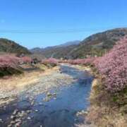 ヒメ日記 2026/02/16 10:45 投稿 なほ 奥鉄オクテツ東京店（デリヘル市場）