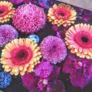 ヒメ日記 2024/12/14 20:14 投稿 あき 奥鉄オクテツ東京店（デリヘル市場）