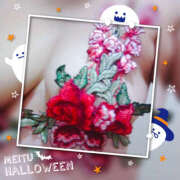 ヒメ日記 2025/01/17 07:13 投稿 あき 奥鉄オクテツ東京店（デリヘル市場）