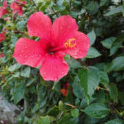 ヒメ日記 2025/01/21 18:59 投稿 あき 奥鉄オクテツ東京店（デリヘル市場）