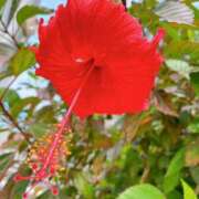 ヒメ日記 2025/04/06 09:51 投稿 あき 奥鉄オクテツ東京店（デリヘル市場）