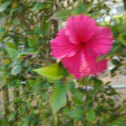 ヒメ日記 2025/05/06 08:08 投稿 あき 奥鉄オクテツ東京店（デリヘル市場）