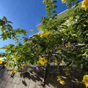 ヒメ日記 2025/05/07 07:23 投稿 あき 奥鉄オクテツ東京店（デリヘル市場）