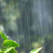 ヒメ日記 2025/09/04 11:05 投稿 あき 奥鉄オクテツ東京店（デリヘル市場）