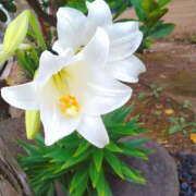 ヒメ日記 2026/04/05 08:05 投稿 あき 奥鉄オクテツ東京店（デリヘル市場）