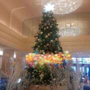 ヒメ日記 2024/12/11 04:18 投稿 えな 奥鉄オクテツ東京店（デリヘル市場）