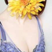 ヒメ日記 2025/02/27 07:43 投稿 えな 奥鉄オクテツ東京店（デリヘル市場）