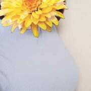 ヒメ日記 2025/04/04 09:09 投稿 えな 奥鉄オクテツ東京店（デリヘル市場）