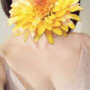 ヒメ日記 2025/04/13 07:58 投稿 えな 奥鉄オクテツ東京店（デリヘル市場）