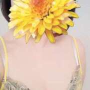 ヒメ日記 2025/04/27 06:52 投稿 えな 奥鉄オクテツ東京店（デリヘル市場）