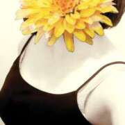 ヒメ日記 2025/07/16 12:11 投稿 えな 奥鉄オクテツ東京店（デリヘル市場）