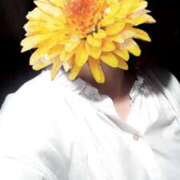 ヒメ日記 2025/08/16 10:17 投稿 えな 奥鉄オクテツ東京店（デリヘル市場）