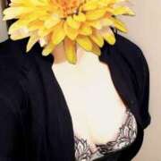 ヒメ日記 2025/09/11 08:06 投稿 えな 奥鉄オクテツ東京店（デリヘル市場）