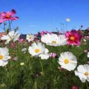 ヒメ日記 2025/10/01 07:46 投稿 えな 奥鉄オクテツ東京店（デリヘル市場）