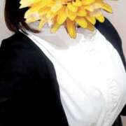 ヒメ日記 2025/10/10 07:37 投稿 えな 奥鉄オクテツ東京店（デリヘル市場）