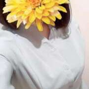 ヒメ日記 2025/10/11 07:59 投稿 えな 奥鉄オクテツ東京店（デリヘル市場）