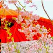 ヒメ日記 2026/04/02 08:53 投稿 えな 奥鉄オクテツ東京店（デリヘル市場）