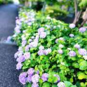 ヒメ日記 2025/06/01 09:02 投稿 ゆうみ 奥鉄オクテツ東京店（デリヘル市場）