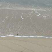 ヒメ日記 2025/08/16 09:23 投稿 ゆうみ 奥鉄オクテツ東京店（デリヘル市場）