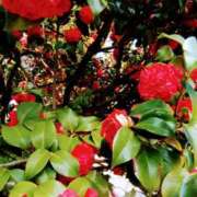 ヒメ日記 2025/11/08 13:15 投稿 ゆうみ 奥鉄オクテツ東京店（デリヘル市場）