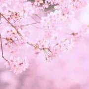 りさ ありがとうございました♡ 奥鉄オクテツ東京店（デリヘル市場）