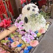 ヒメ日記 2024/12/09 22:05 投稿 さな 奥鉄オクテツ東京店（デリヘル市場）