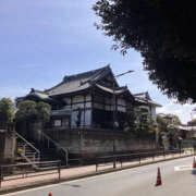 ヒメ日記 2025/03/17 12:10 投稿 さな 奥鉄オクテツ東京店（デリヘル市場）