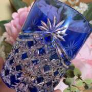 ヒメ日記 2025/04/23 21:05 投稿 さな 奥鉄オクテツ東京店（デリヘル市場）