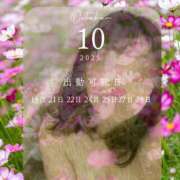 ヒメ日記 2025/10/19 09:00 投稿 さな 奥鉄オクテツ東京店（デリヘル市場）