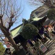 ヒメ日記 2026/01/11 14:30 投稿 さな 奥鉄オクテツ東京店（デリヘル市場）