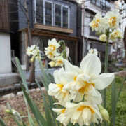 ヒメ日記 2026/02/08 10:45 投稿 さな 奥鉄オクテツ東京店（デリヘル市場）