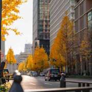 ヒメ日記 2024/12/10 10:47 投稿 ゆりあ 奥鉄オクテツ東京店（デリヘル市場）