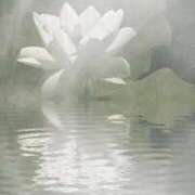 ヒメ日記 2024/12/27 16:03 投稿 ゆりあ 奥鉄オクテツ東京店（デリヘル市場）