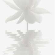 ヒメ日記 2025/03/07 18:19 投稿 ゆりあ 奥鉄オクテツ東京店（デリヘル市場）