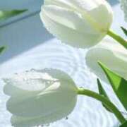 ヒメ日記 2025/04/30 08:03 投稿 ゆりあ 奥鉄オクテツ東京店（デリヘル市場）