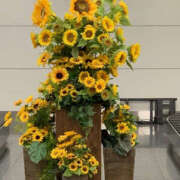 ヒメ日記 2025/07/29 17:57 投稿 ゆりあ 奥鉄オクテツ東京店（デリヘル市場）