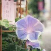 ヒメ日記 2025/08/19 12:03 投稿 ゆりあ 奥鉄オクテツ東京店（デリヘル市場）