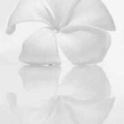 ヒメ日記 2025/10/13 12:14 投稿 ゆりあ 奥鉄オクテツ東京店（デリヘル市場）