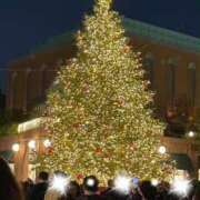 ヒメ日記 2025/11/08 23:22 投稿 ゆりあ 奥鉄オクテツ東京店（デリヘル市場）