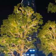 ヒメ日記 2025/11/30 23:07 投稿 ゆりあ 奥鉄オクテツ東京店（デリヘル市場）